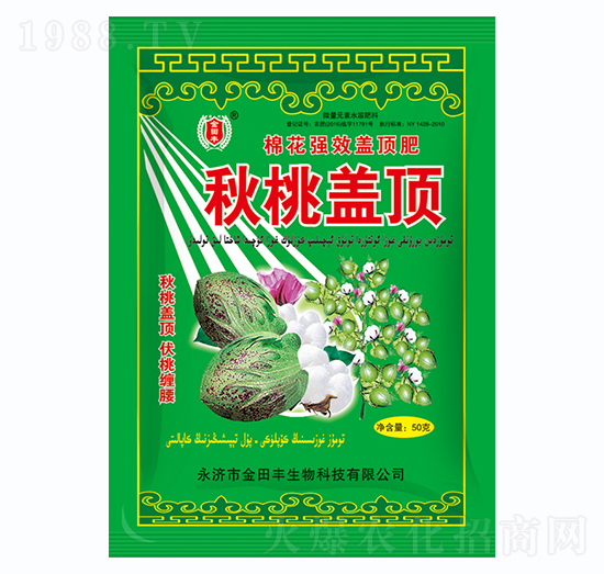 秋桃蓋頂-金田豐