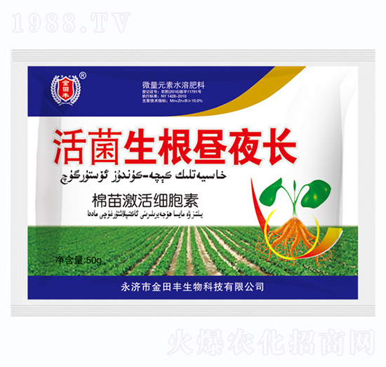 活菌生根晝夜長-金田豐