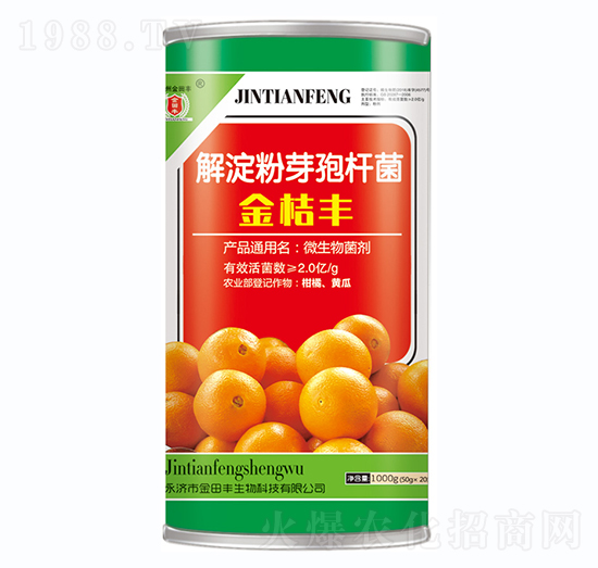 �����ѿ�ߗU��-����S-�����S