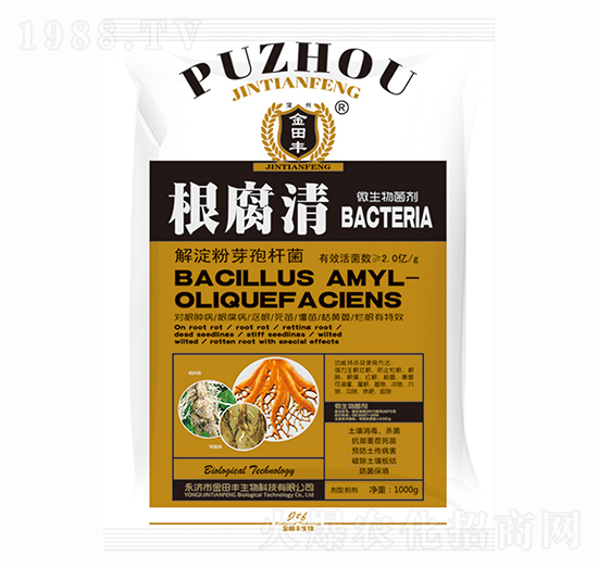 ������-�����S