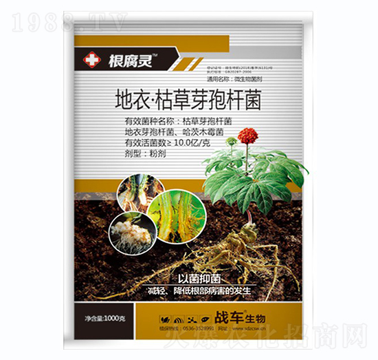 ����.�ݲ�ѿ�ߗU��-�����`-��(zh��n)܇