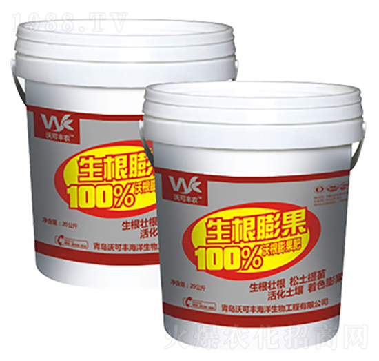 ���������-�ֿ��S