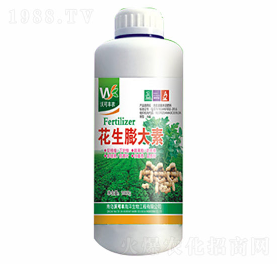 ���������-�ֿ��S