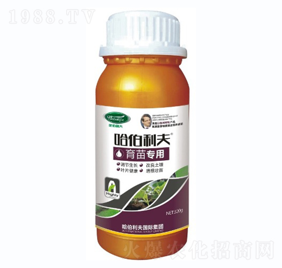 ���猣��-��������