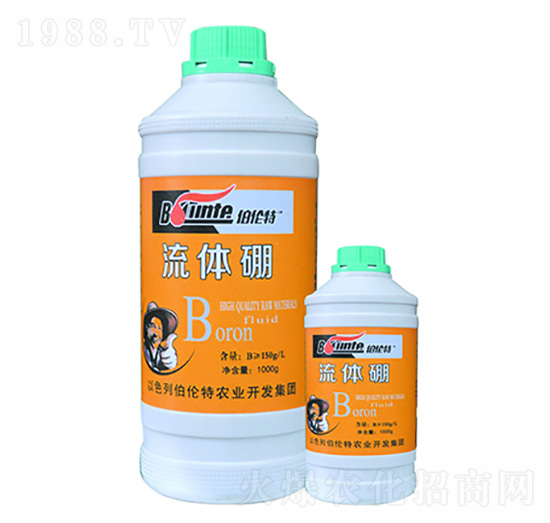 流體硼-伯倫特