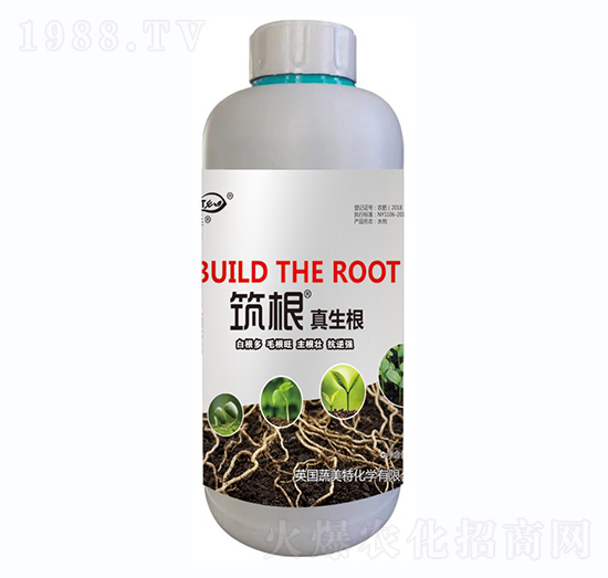 筑根真生根-蔬美特