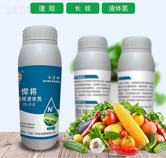 ���Һ�w��35-0-0-����-���r����