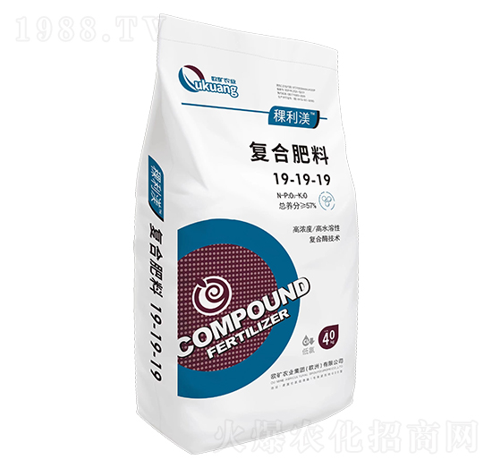 �ͺϷ���19-19-19-������-�W�V�r�I(y��)