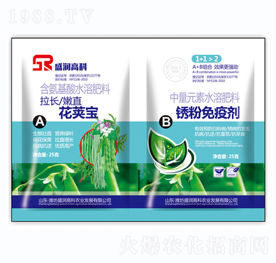 ���v��+���P���߄�-ʢ��(r��n)�߿�