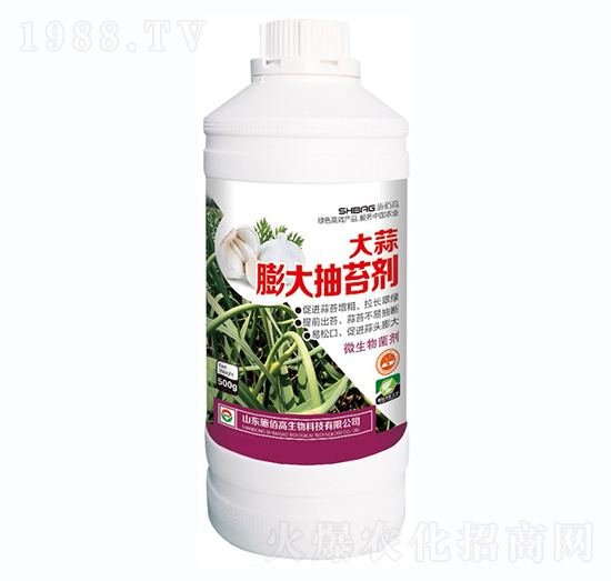 ��������̦��-ʩ�۸�