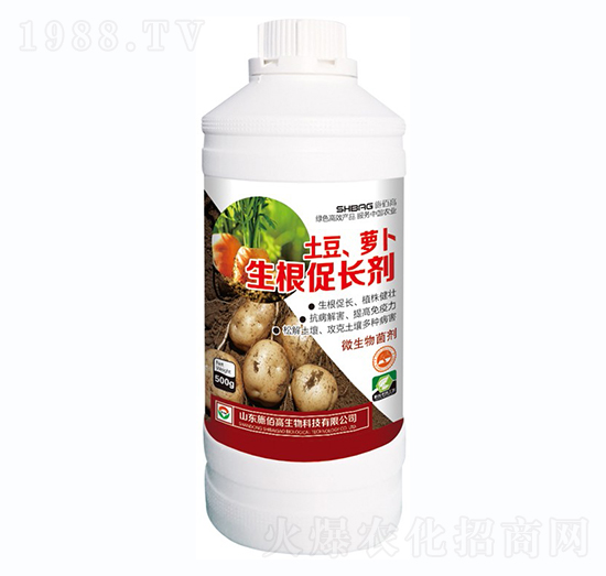 �����}���������L��-ʩ�۸�