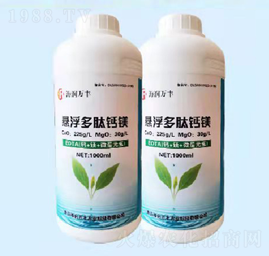 �Ҹ������}�V-�����f�S