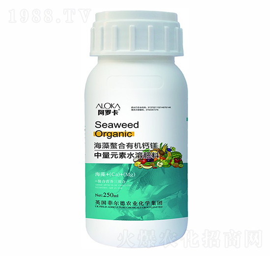 ���������ЙC�}�V-�����_-�Ɲ��r��