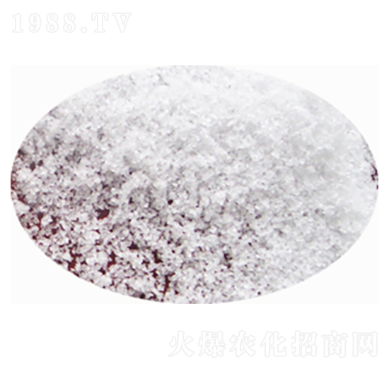 ���������w��-�|�r(n��ng)����