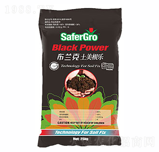 ���m�������ޏ�(f��)��-�՝�����