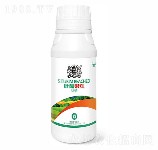 �~�n���t500g-�{�R�ʘI(y��)