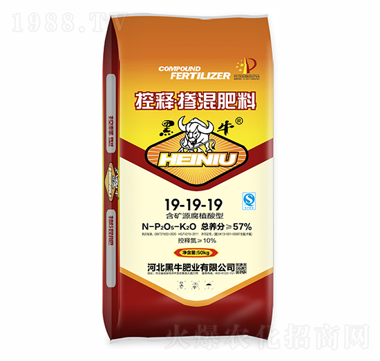 ��ጓ������19-19-19-��ţ�ʘI(y��)