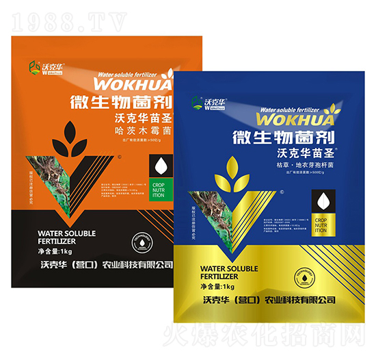 �ֿ��A��ʥ΢�������-�ֿ��A