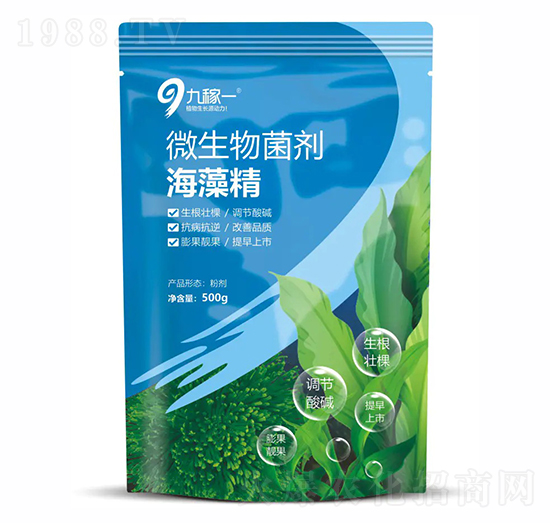 ���徫΢�������-�ż�һ