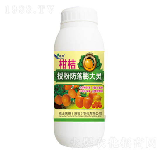 �����ڷ۷�������`-�G��-��ʿ�R��