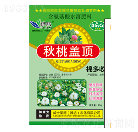 �����w�-�G��-��ʿ�R��