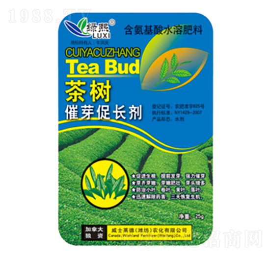 ����ѿ���L��-�G��-��ʿ�R��