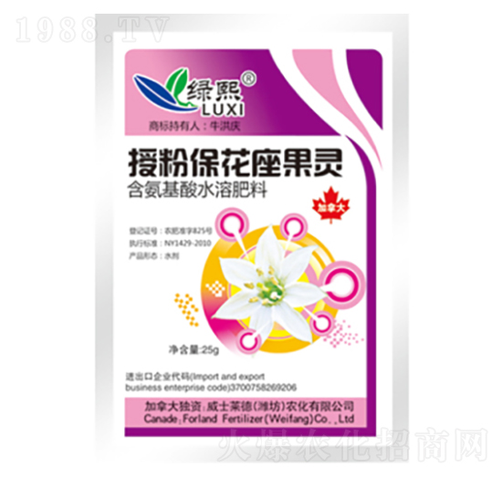 �ڷ۱��������`�����b��-�G��-��ʿ�R��