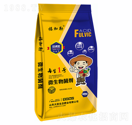 ΢�������-����1̖-������