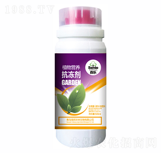 ֲ��I�B(y��ng)������-ɭ��-�����r��