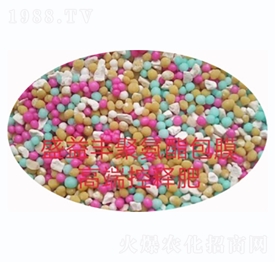 ��ጷ�-ʢ���S