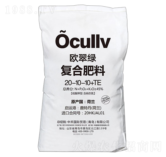 ������͏�(f��)�Ϸ���20-10-10+TE-�W��G-�к̇��H