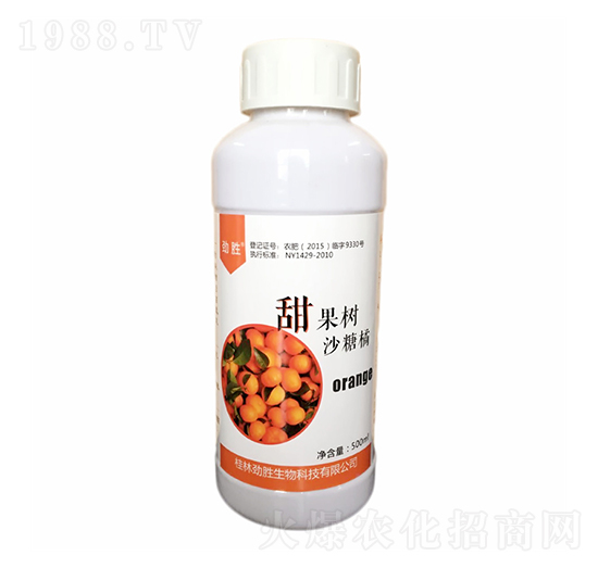 500ml沙糖橘甜果樹(shù)-桂開(kāi)生物