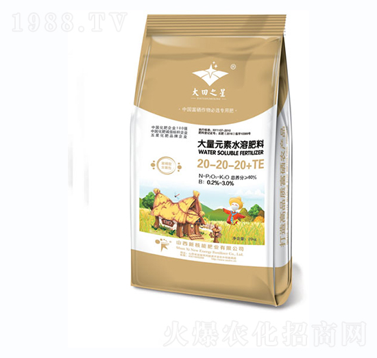大量元素水溶肥料20-20-20+TE-大田之星-新核能