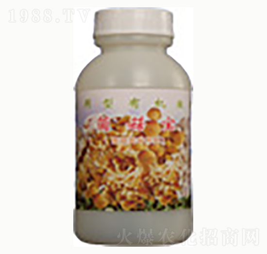 ������-�n����