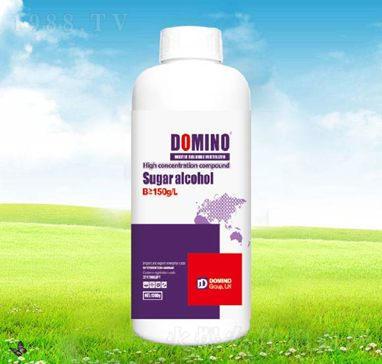 流體硼-多米諾-卡夫