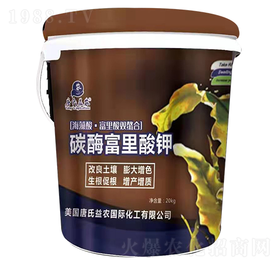 ̼ø�������-���ϻ���