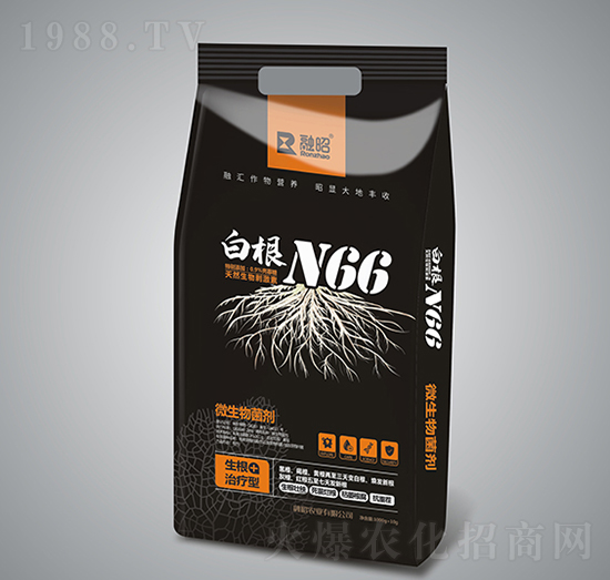 �׸�N66-�����r�I(y��)