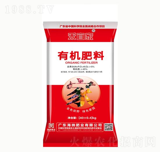 ���˼��ЙC����-���{�ʘI(y��)