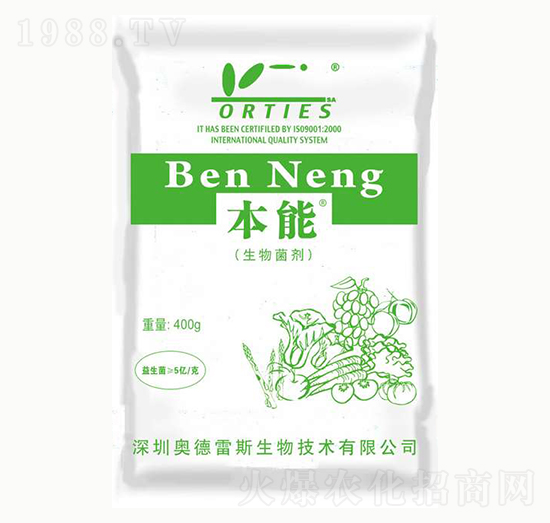 �������-����-�W����˹