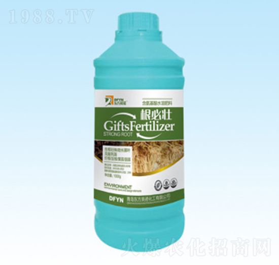 根必壯-東方英諾