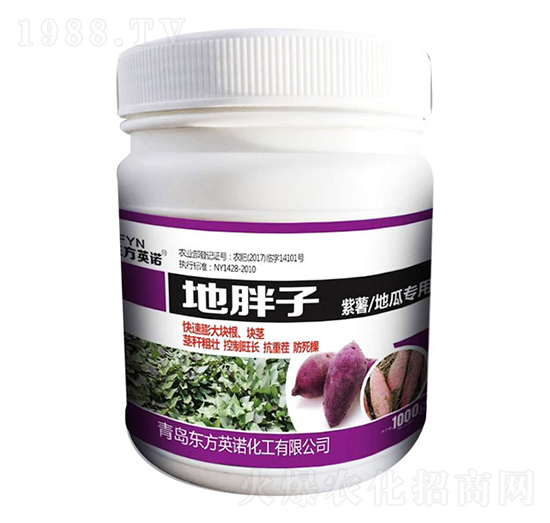 紫薯地瓜專用地胖子-東方英諾