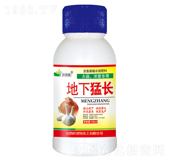 大蒜、洋蔥地下猛長-葉碧特