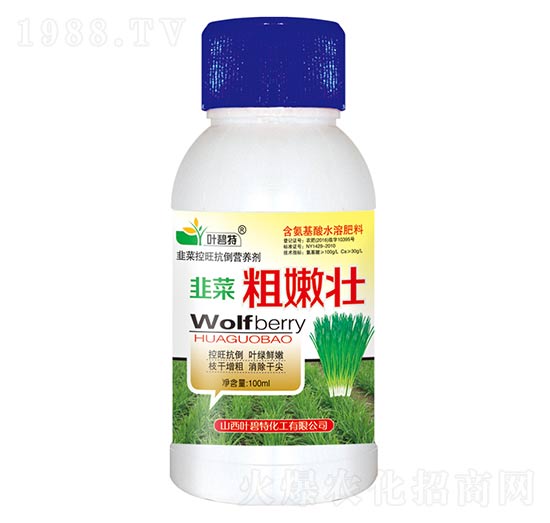 韭菜粗嫩壯-葉碧特