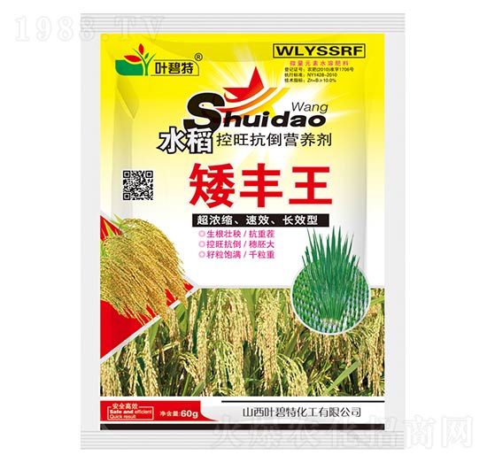 水稻矮豐王-葉碧特