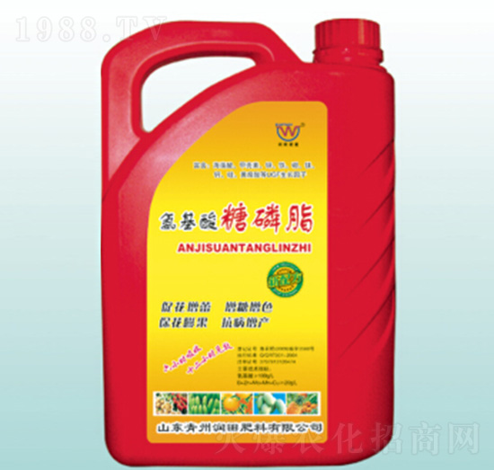 ����������֬-��(r��n)�����