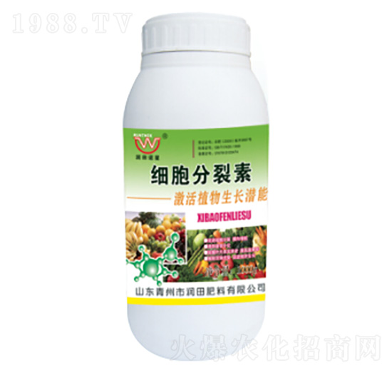 ƿ�b����������-�������