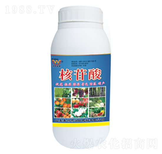 �������~���-�������