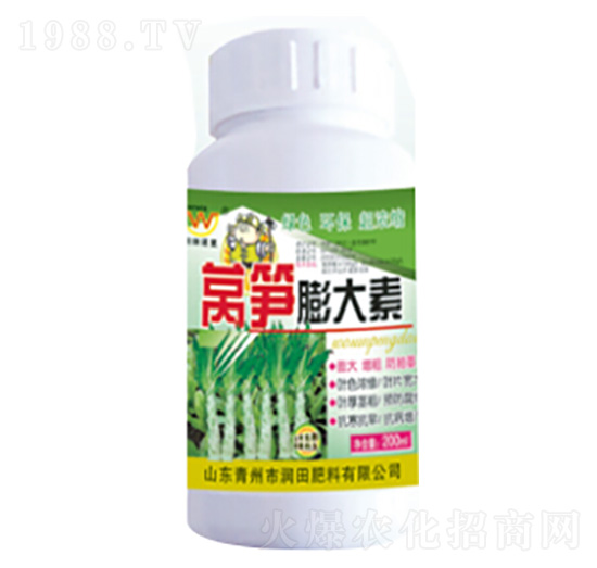 �n�S�����-��(r��n)�����