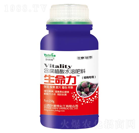 楊梅專用含氨基酸水溶肥料-生命力-葉碧特