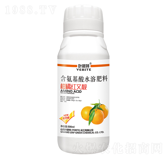 柑橘紅又靚-葉碧特